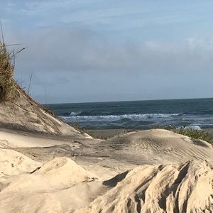 Meet your Posher, Dawn